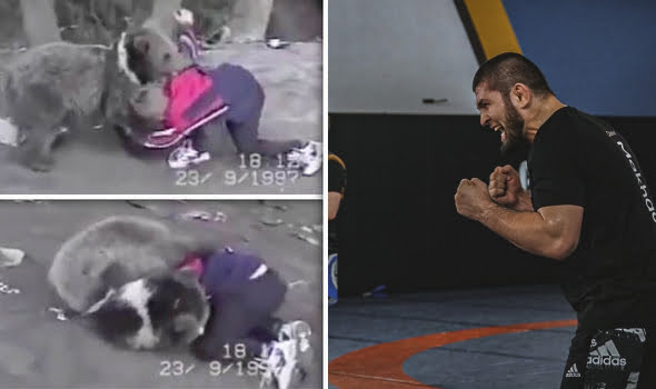 Khabib Nurmagomedov UFC Hall Of Fame Best MMA Fighter Khabib Nurmagomedov UFC Hall Of Fame Best MMA Fighter